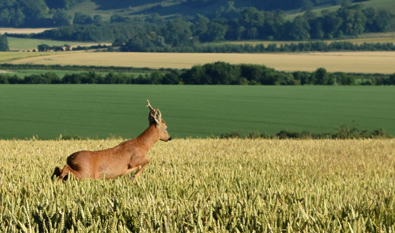 Farmers' Company announces postponement of 2020 ACABM and 2021 CRL